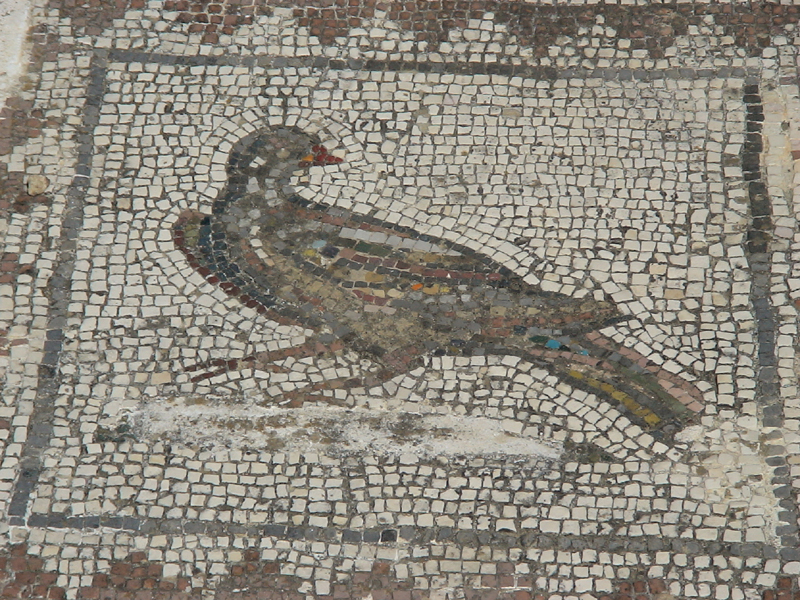 DSC00160