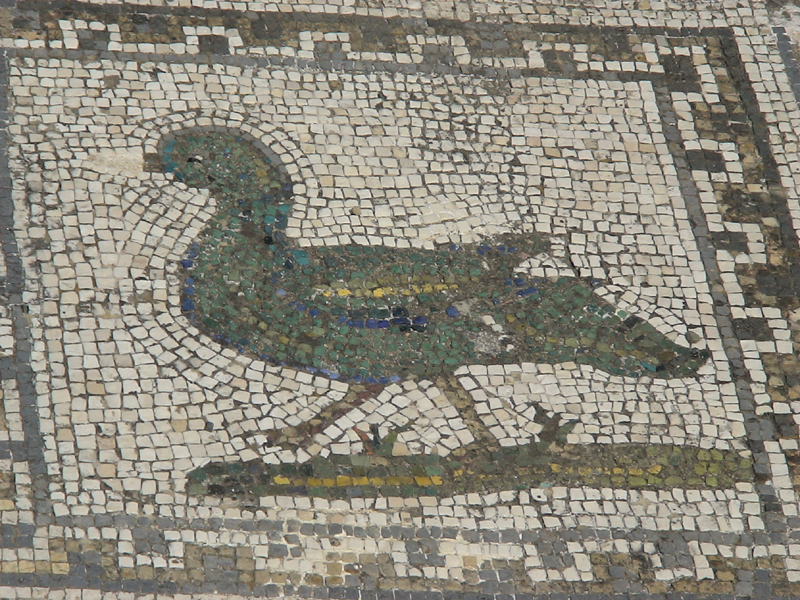 DSC00161