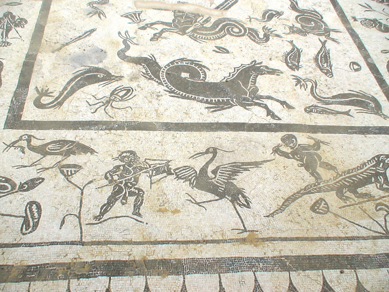 DSC00163