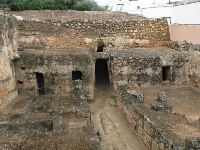 P1050007