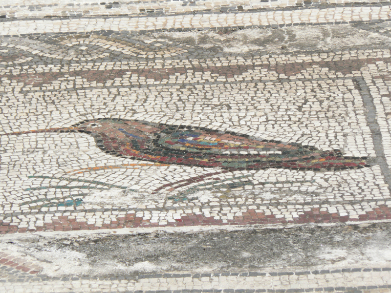 P1050027