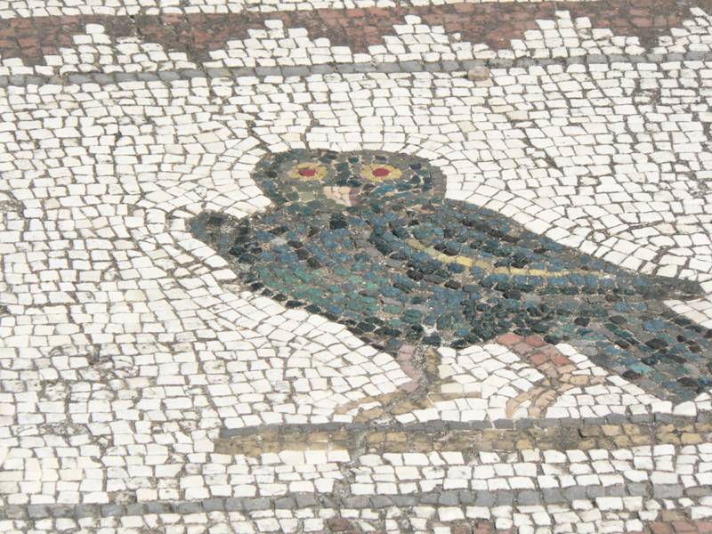 P1050028