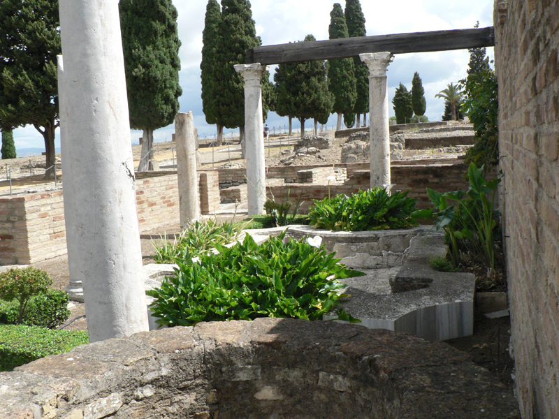 P1050029