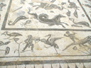 DSC00163