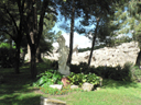 P1050022