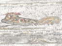 P1050026