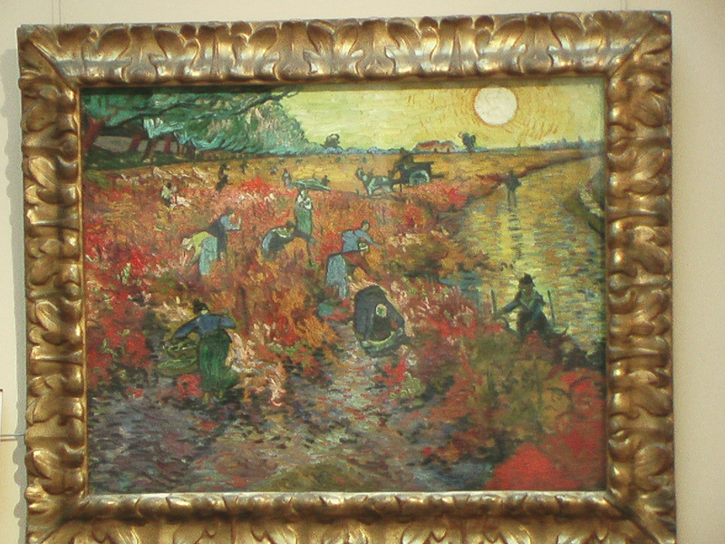 IMGA0571