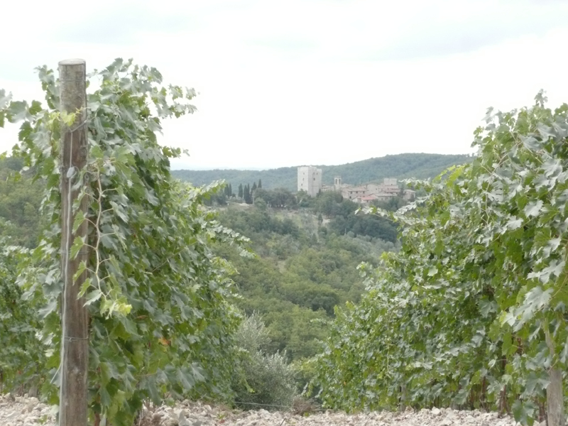 P1020097