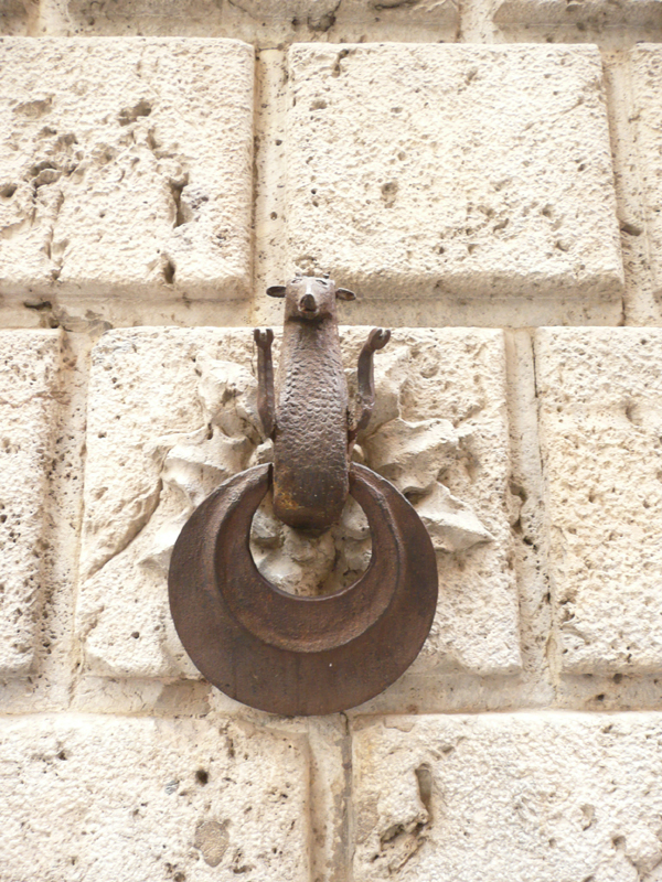 P1020135